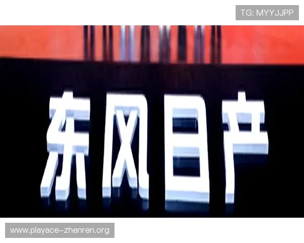 N7国际引领未来科技创新与全球交流新格局