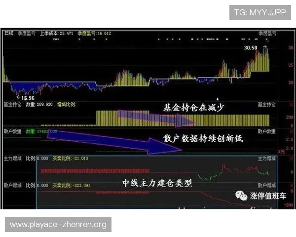 全网最新投注返水攻略详解教你稳健盈利技巧 全网最新投注返水攻略详解教你稳健盈利技巧